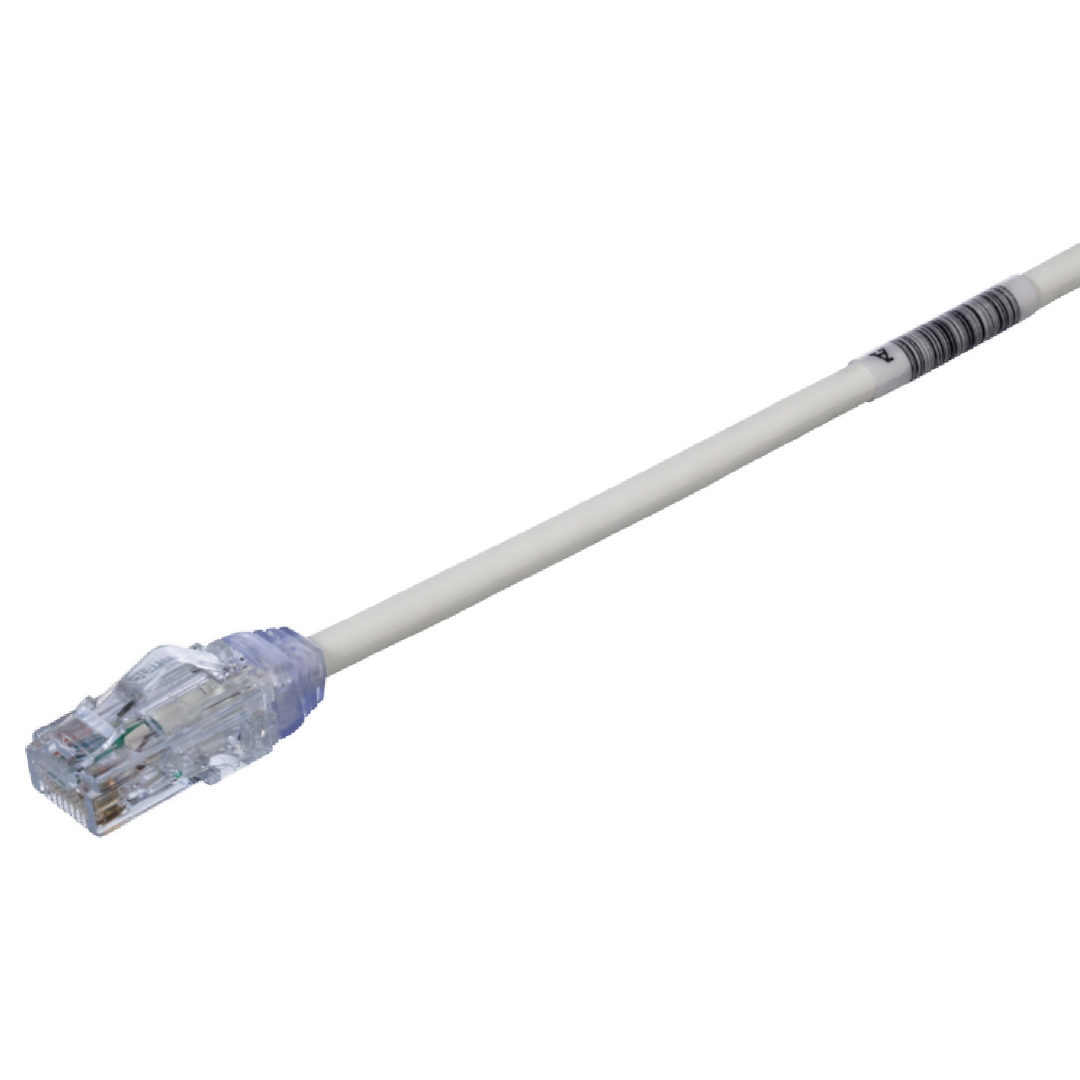 7954.png
